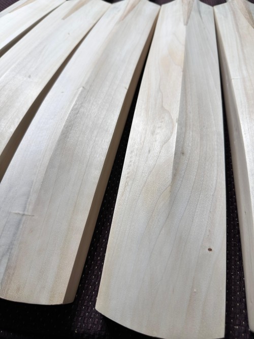 Pakistan Willow Cricket Bat – Plain