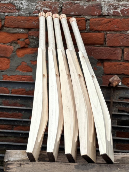 Hard Tennis Bat – MRI Edition