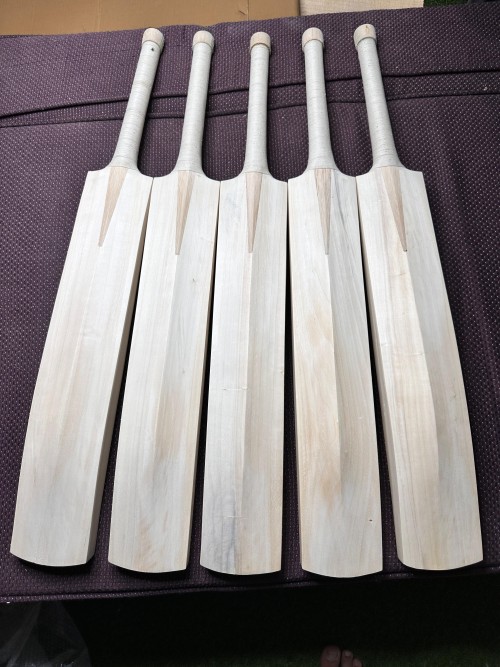 Pakistan Willow Cricket Bat – Plain