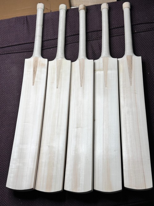 Pakistan Willow Cricket Bat – Plain