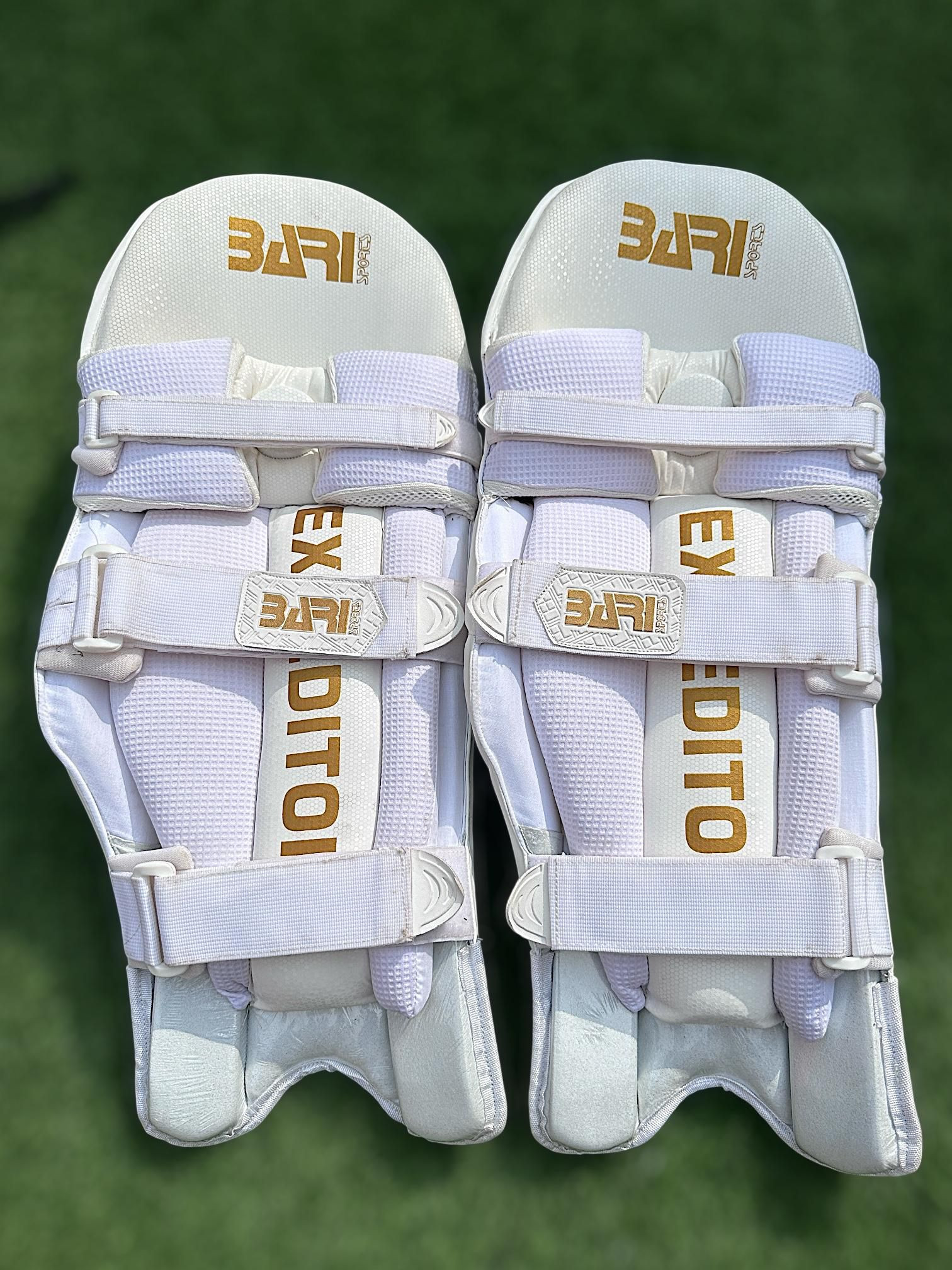 Batting Leg Pads – Expeditor Series