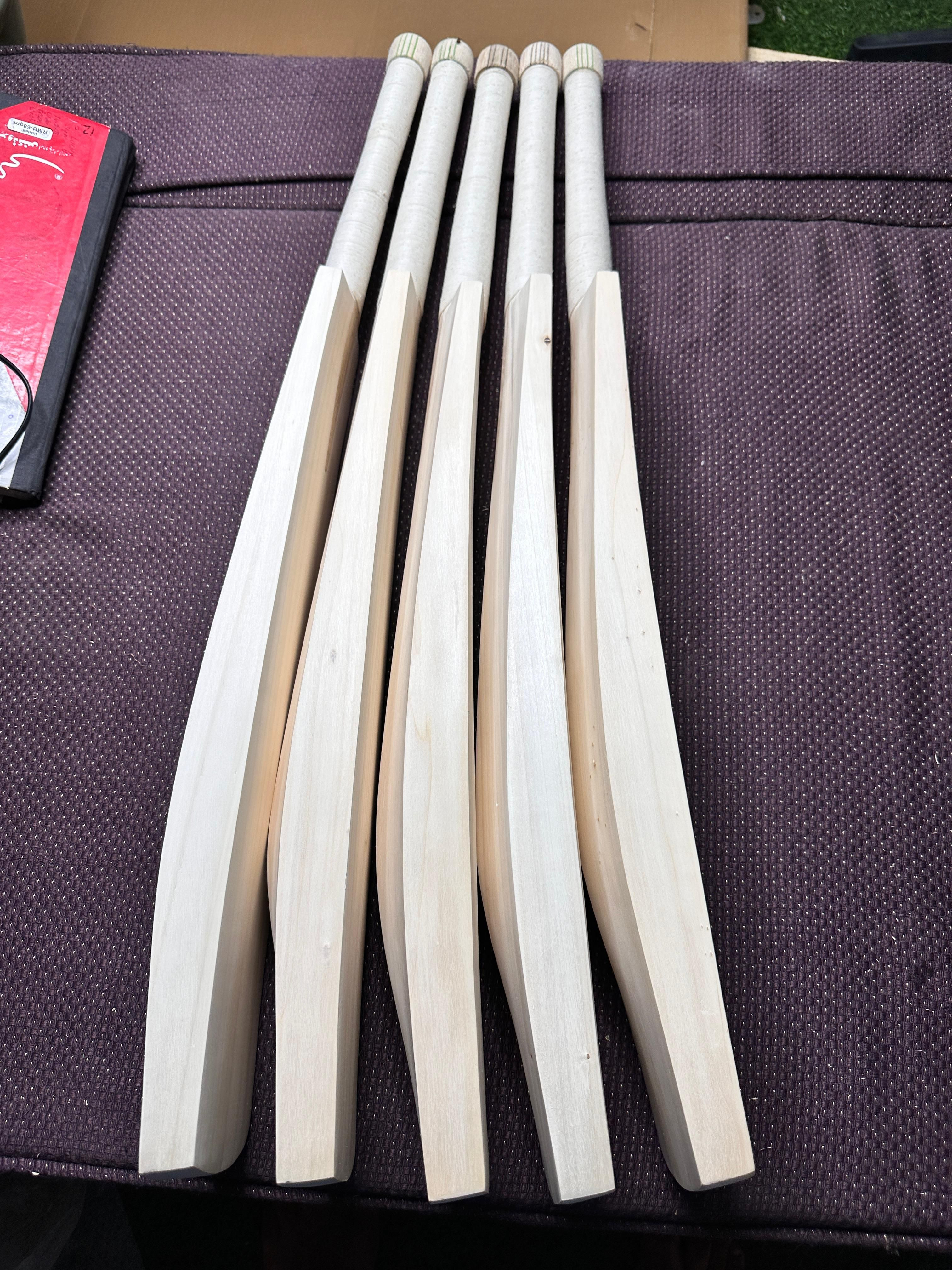 Pakistan Willow Cricket Bat – Plain