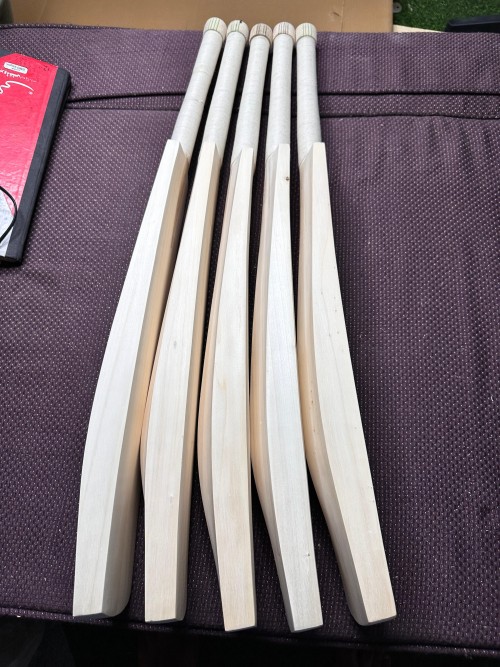 Pakistan Willow Cricket Bat – Plain